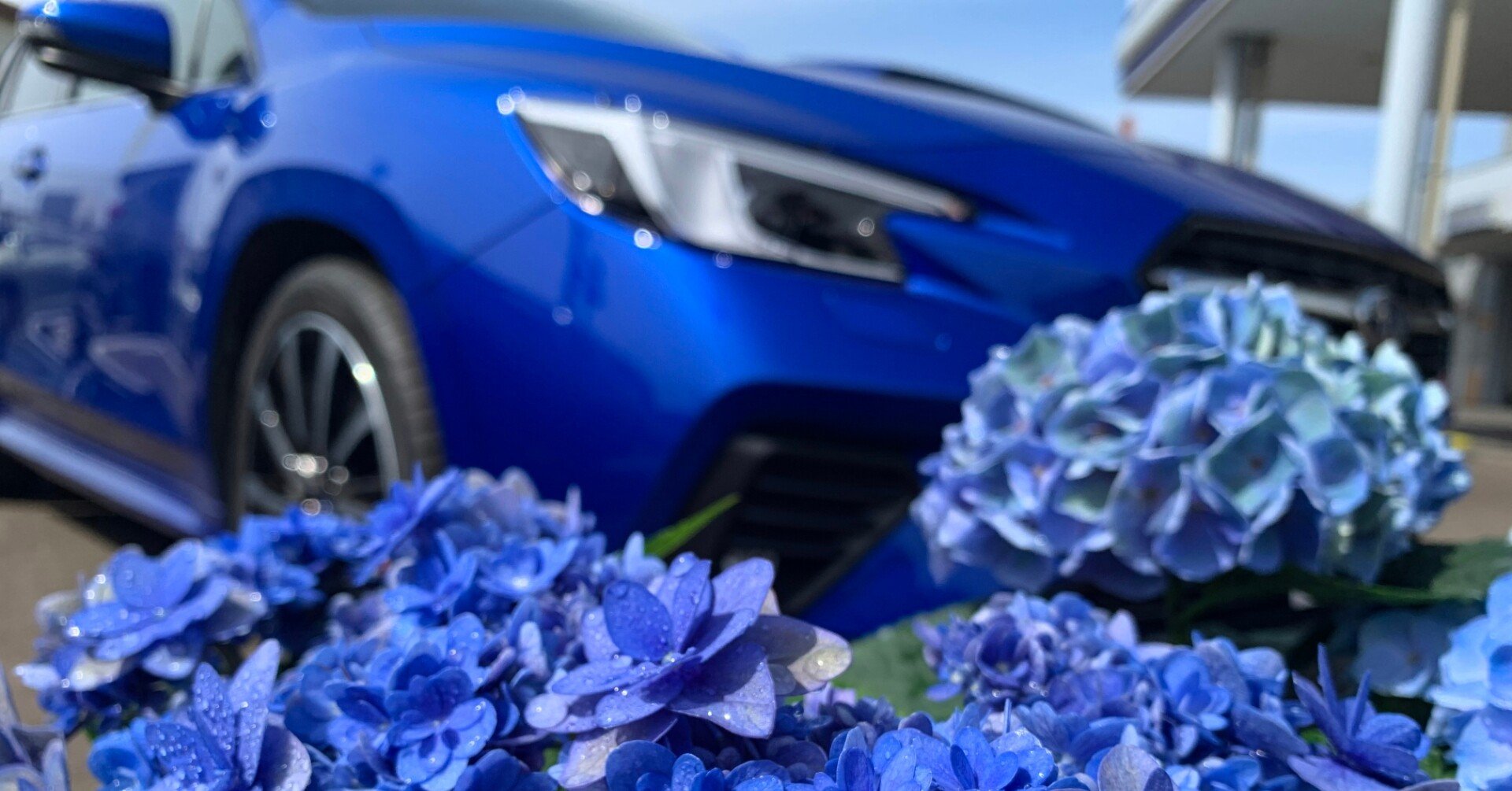 紫陽花 青の季節がやってきた 宮城スバル 太白山田店 Miyagi Subaru Taihakuyamada Note 紫陽花 青の季節がやってきた 宮城スバル 太白山田店 Miyagi Subaru Taihakuyamada Note