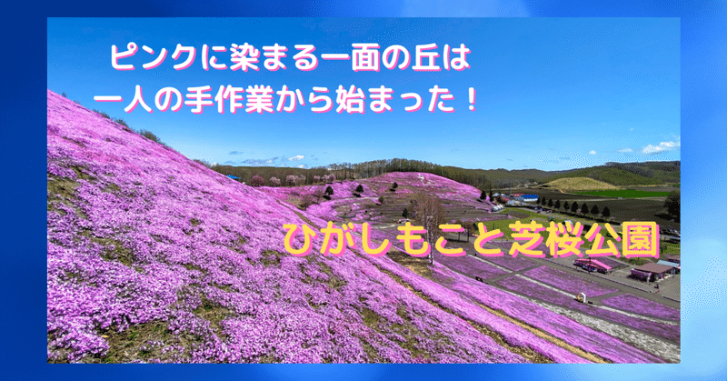 ピンクに染まる一面の丘は一人の手作業から始まった。「ひがしもこと芝桜公園」