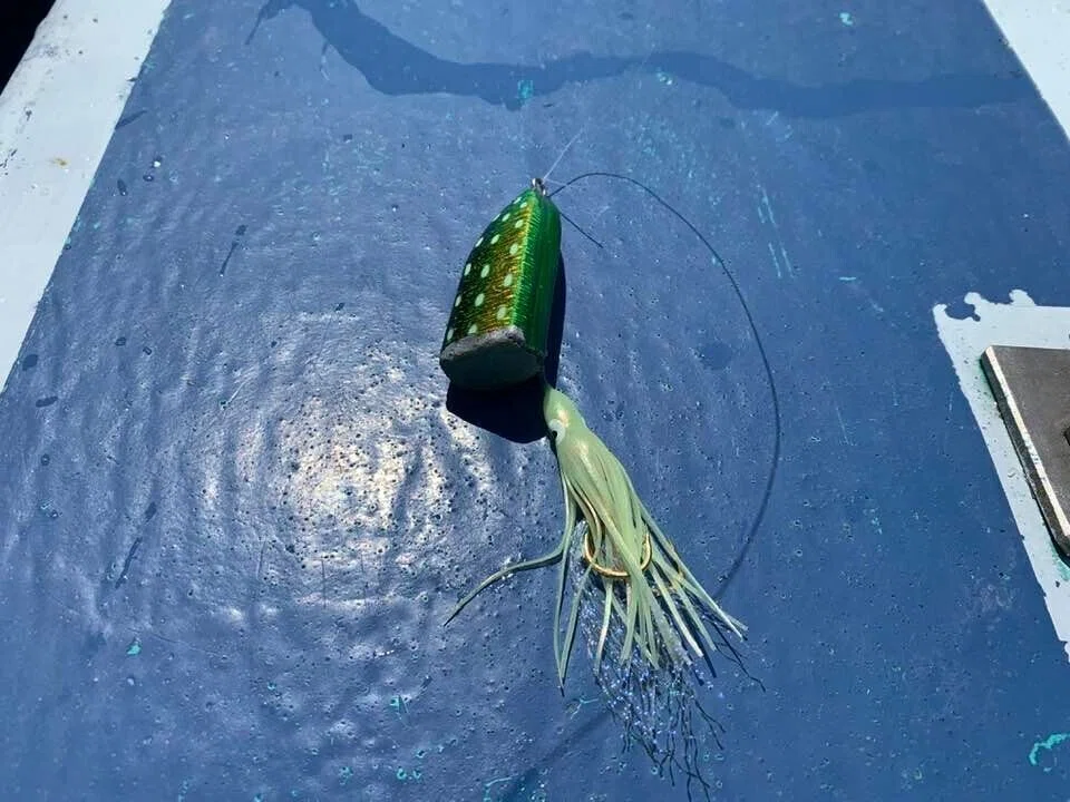 画像16