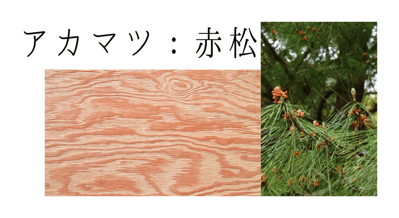 樹の種類 国産針葉樹 Woodmorning Note 樹の種類 国産針葉樹 Woodmorning Note
