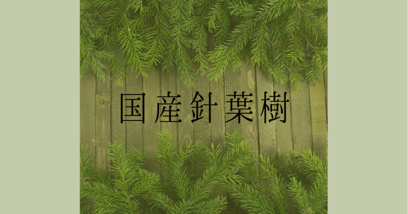 樹の種類 国産針葉樹 Woodmorning Note