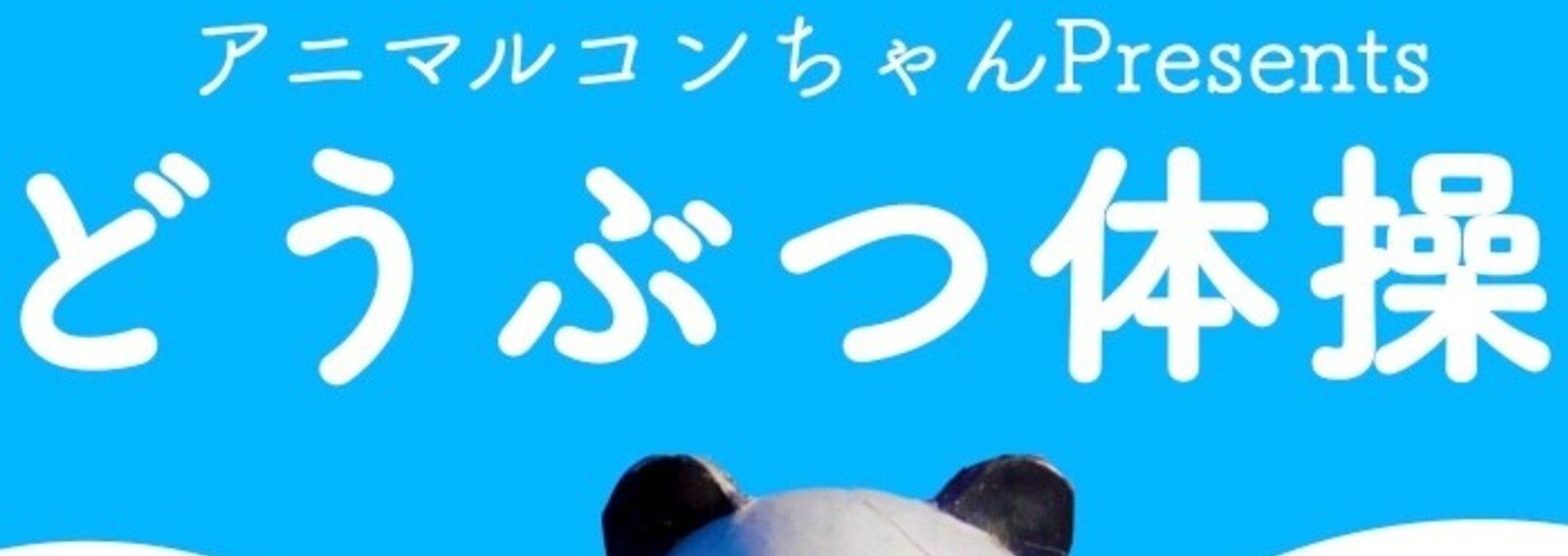 どうぶつ体操 齊藤コン アニマルコンちゃん どうぶつ体操 ダンサー 振付家 Note
