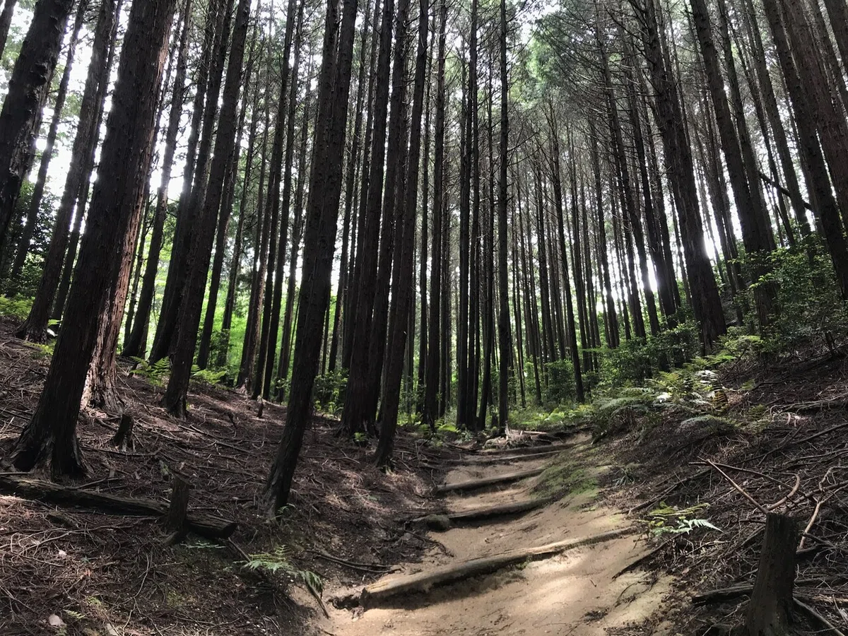 画像2