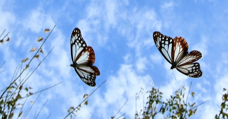 おしゃれに生きるには あれもこれも全部を作り替える Yuukee Note