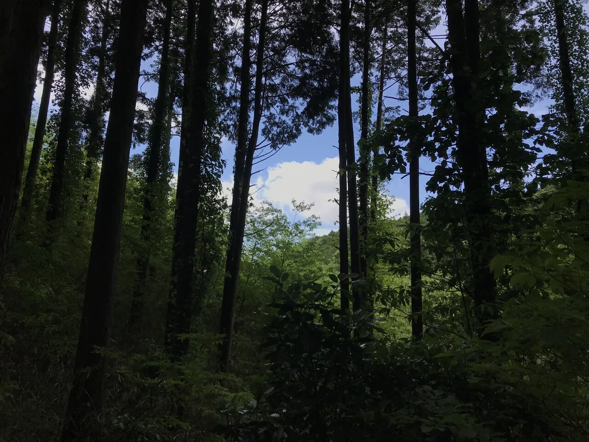 画像8