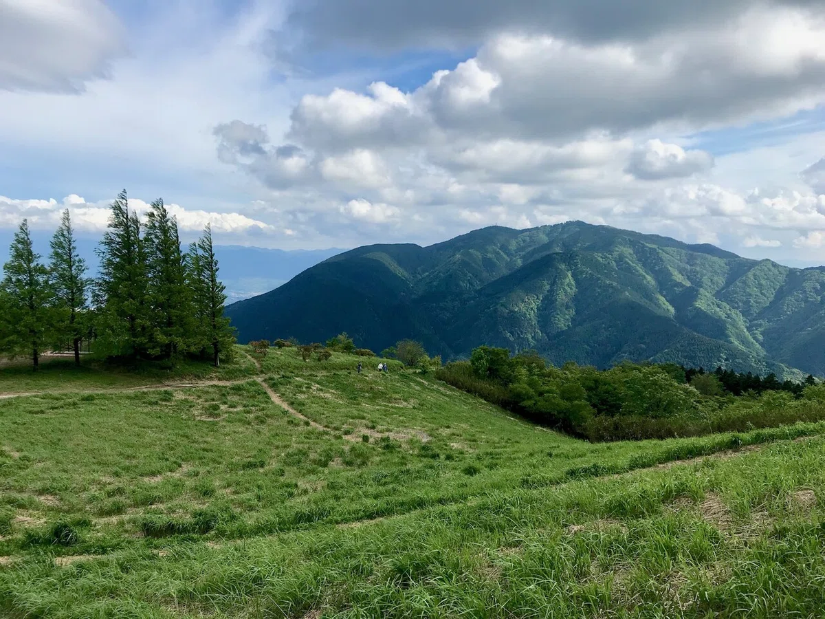 画像13