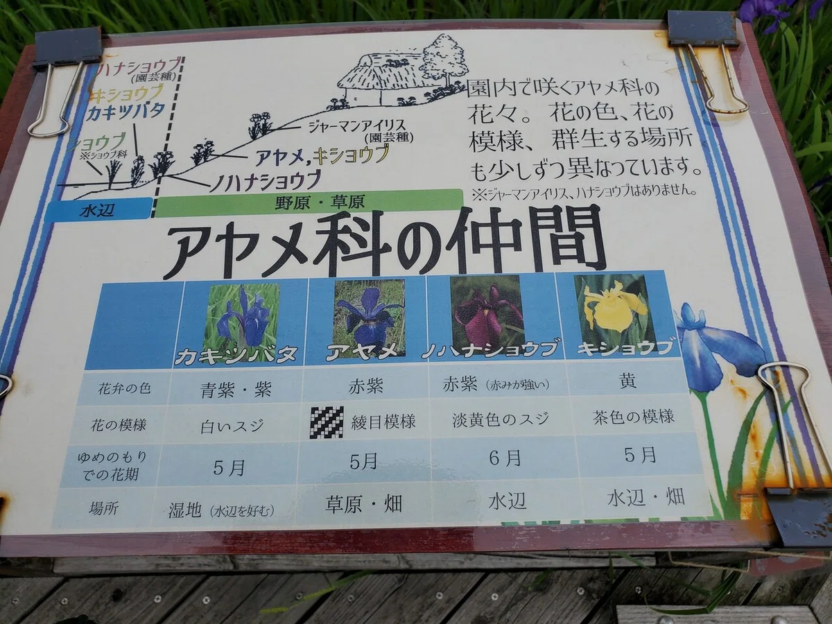 画像2