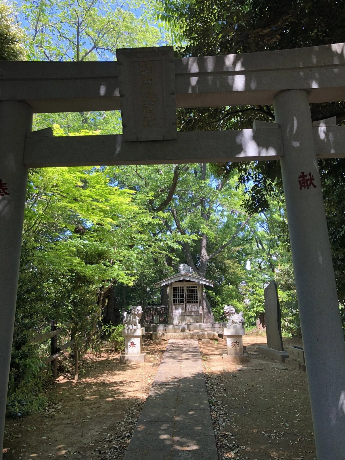 画像8