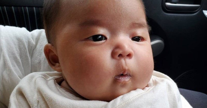 生後2か月 の新着タグ記事一覧 Note つくる つながる とどける