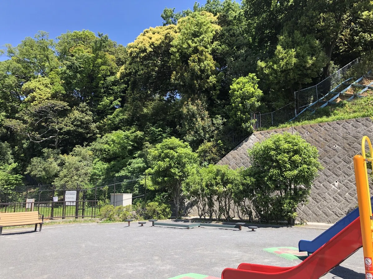 画像10