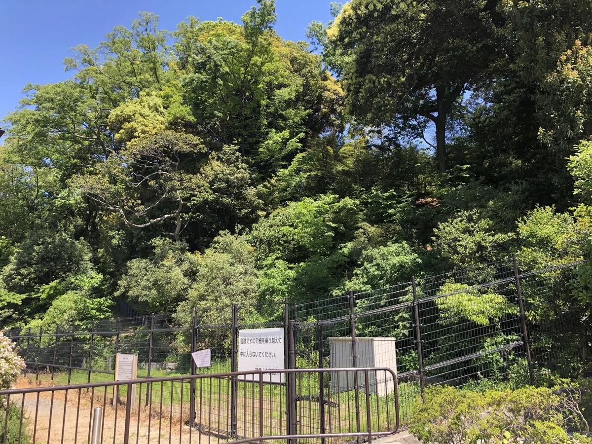 画像11