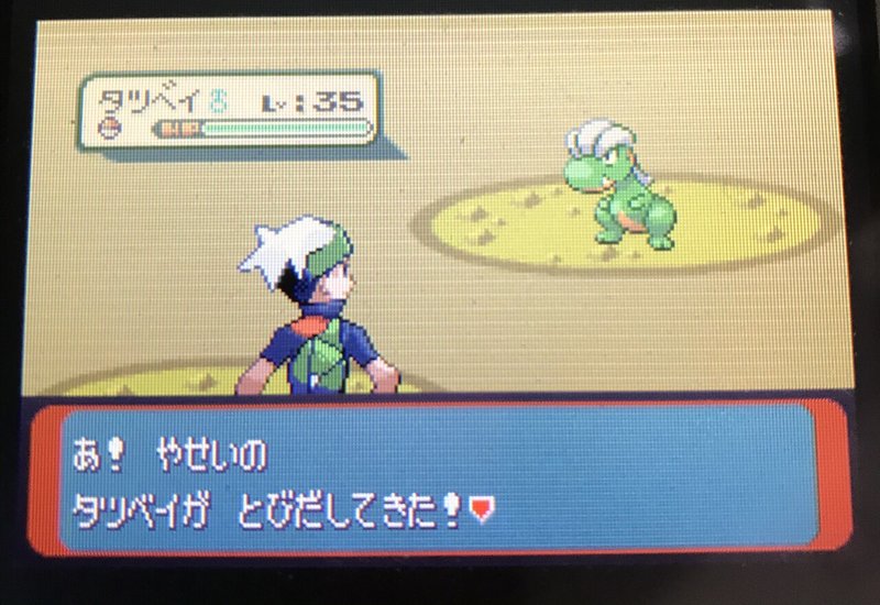 エメラルド野生乱数で色菱形ポケモンを手に入れる さなぴ Note