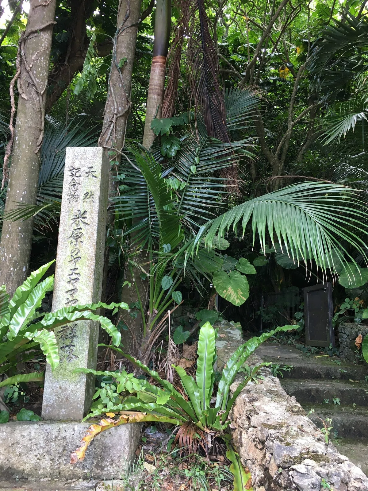 画像7