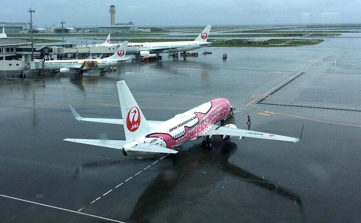 19 飛行機note】 JTAさんのジンベエジェット|Sora*note 19 飛行機note】 JTAさんのジンベエジェット|Sora*note