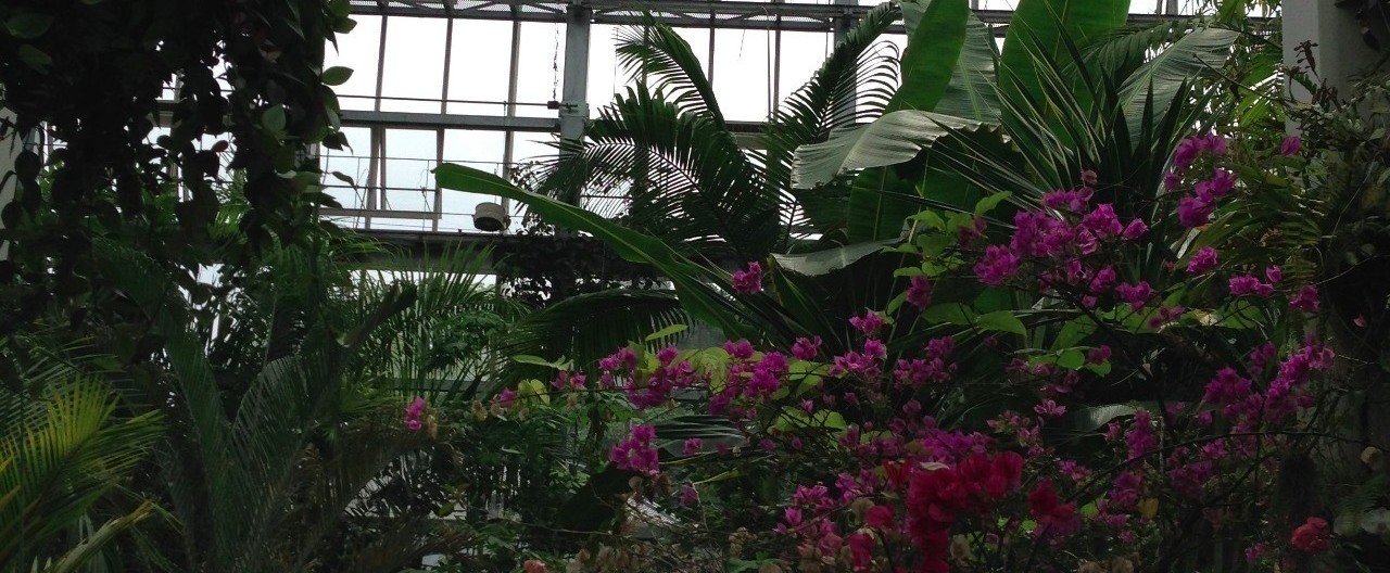 【連載7回目】室戸岬の佐藤幸雄(『キョーレツナリズム』スピンオフ)