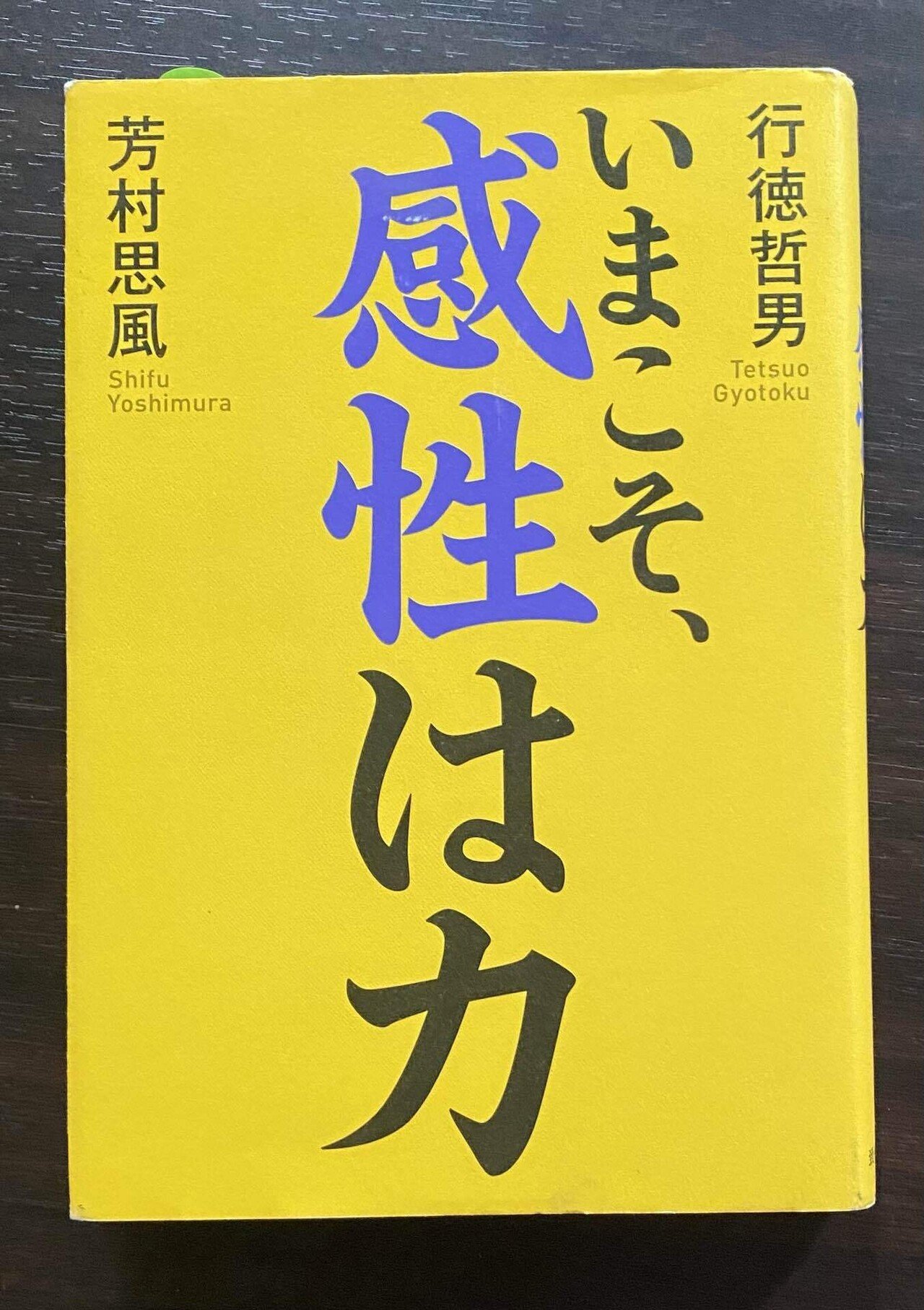 芳村思風 感性論哲学