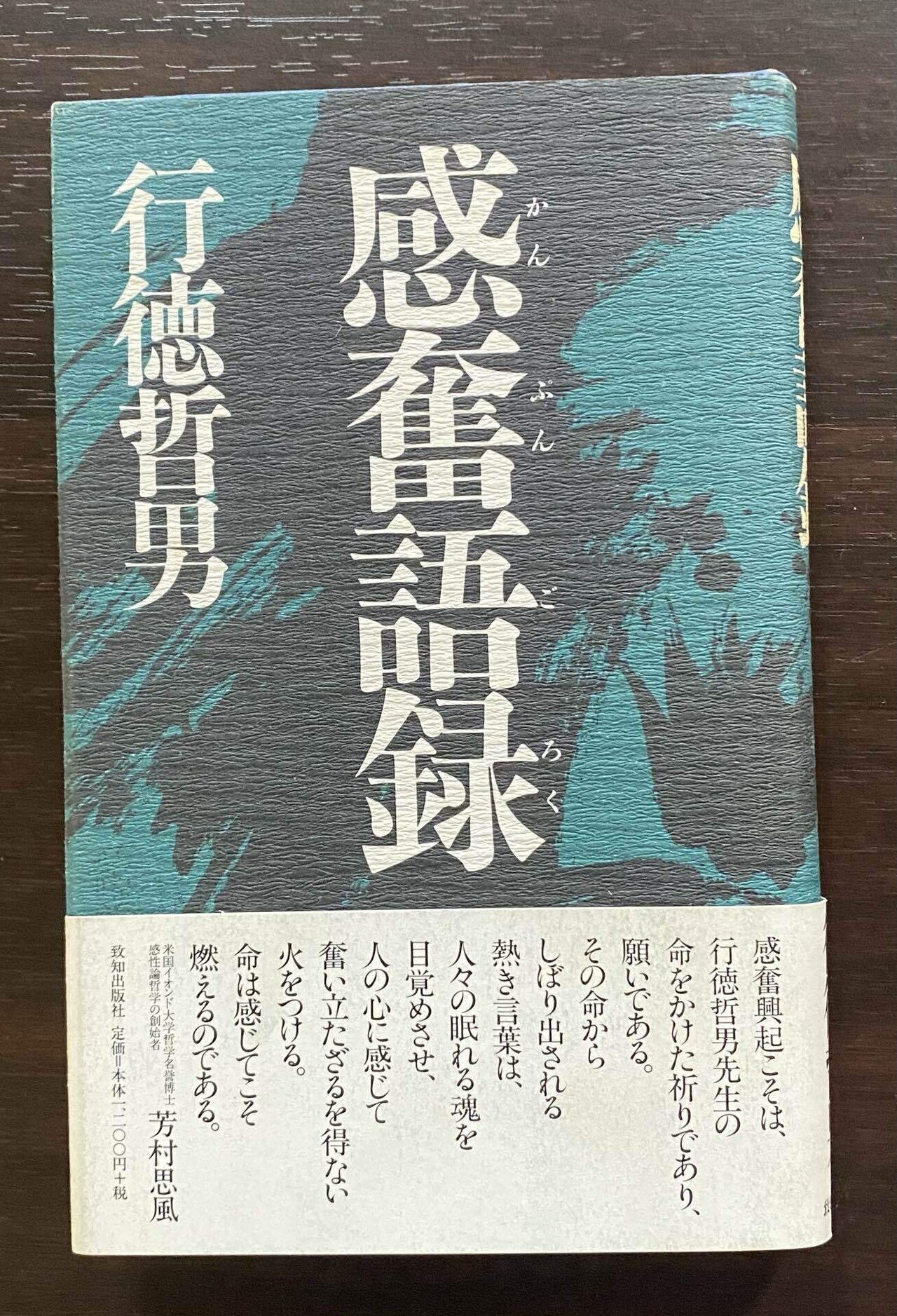 芳村思風 感性論哲学