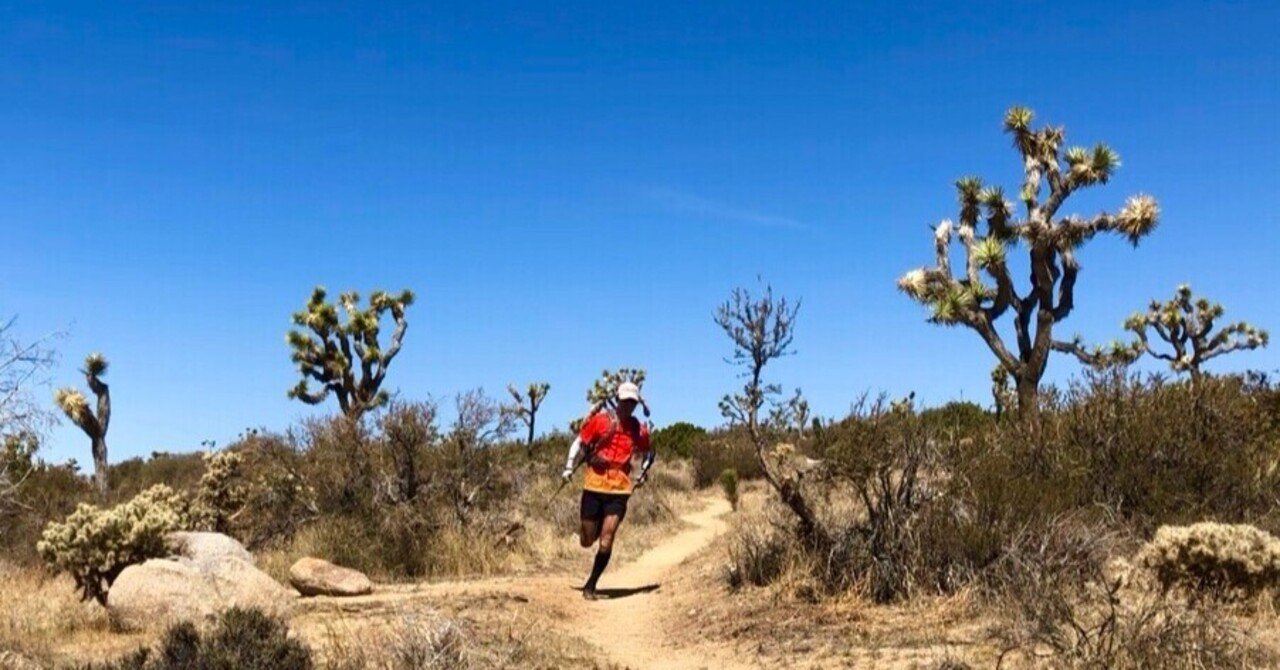 極乾の大地を走る ジョシュアツリー国立公園 後編 風のささやきを聞け Nick D ロサンゼルス発ビジネスパーソンのための冒険のすすめ Note 極乾の大地を走る ジョシュアツリー国立公園 後編 風のささやきを聞け Nick D ロサンゼルス発ビジネスパーソンのための冒険のすすめ Note