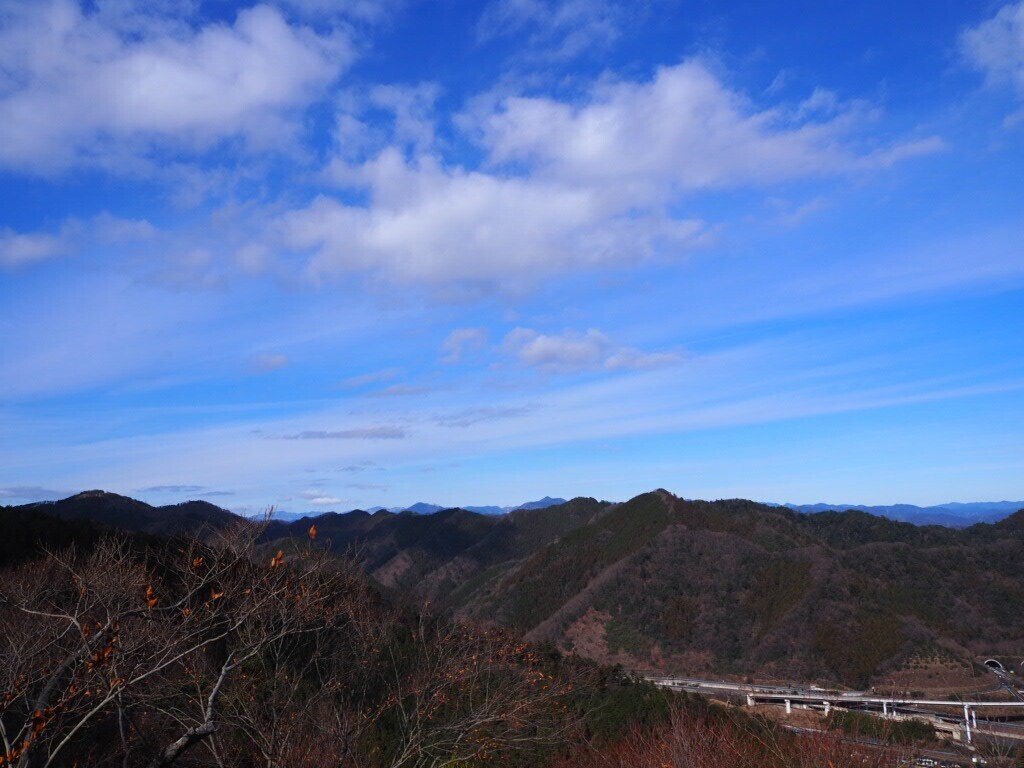 佐藤周作 さんの虎 あたぼうステーショナリー Note