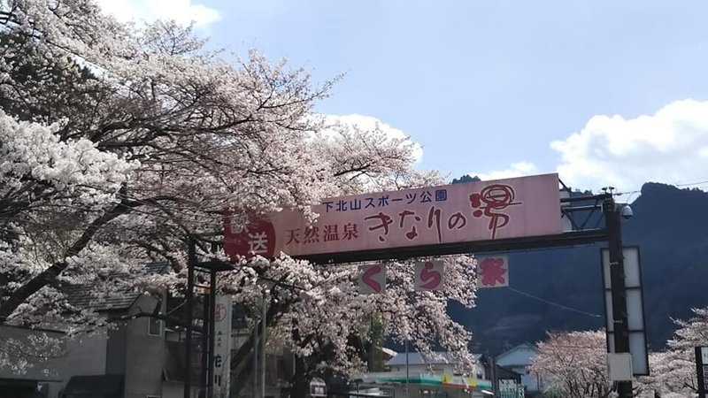 スポーツ公園の桜2019-2
