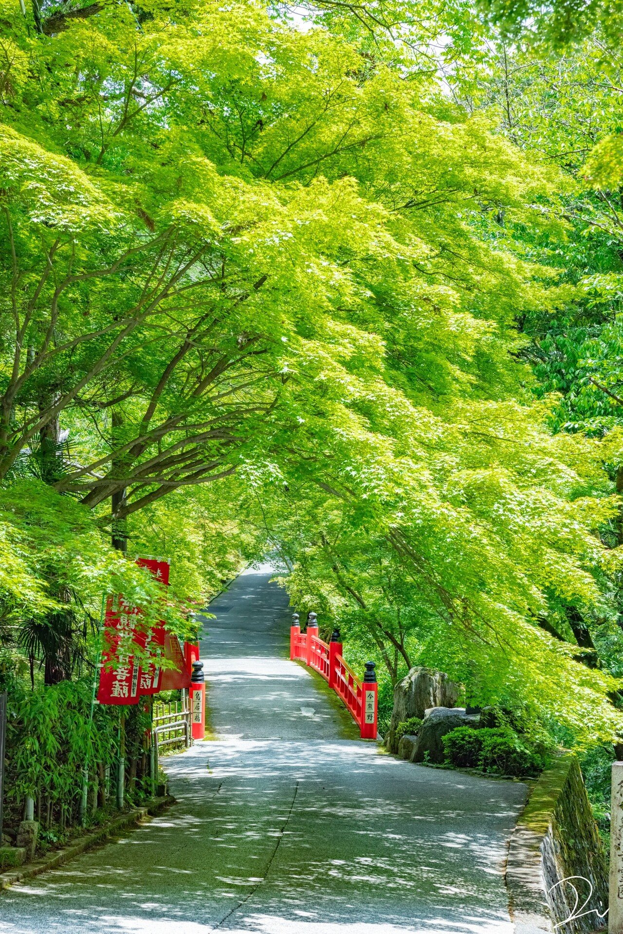 新緑の京都を旅した日のこと うさだだぬき Note
