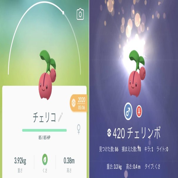 ポケgo ノウハウ 相棒 のポケモン のニックネームのつけ方 Takashi Katagiri Note