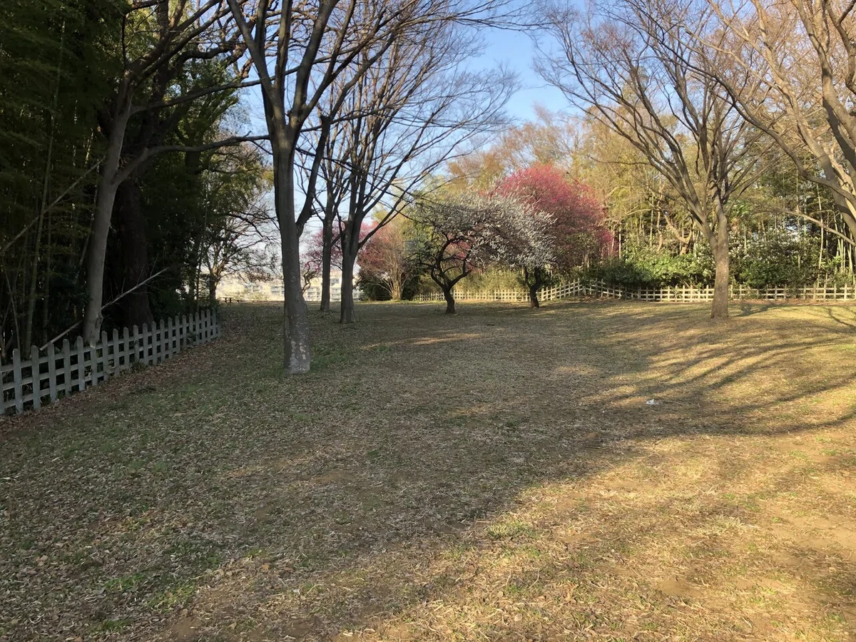 画像6