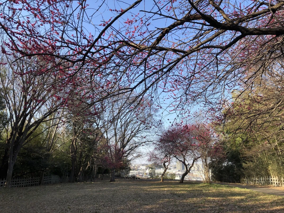 画像8