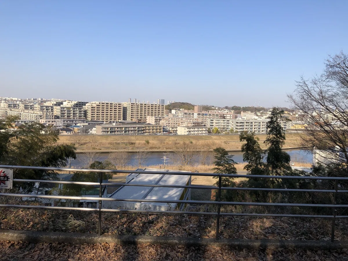 画像8