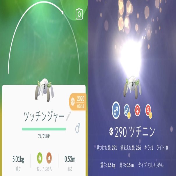 ポケgo ノウハウ 相棒 のポケモン のニックネームのつけ方 Takashi Katagiri Note