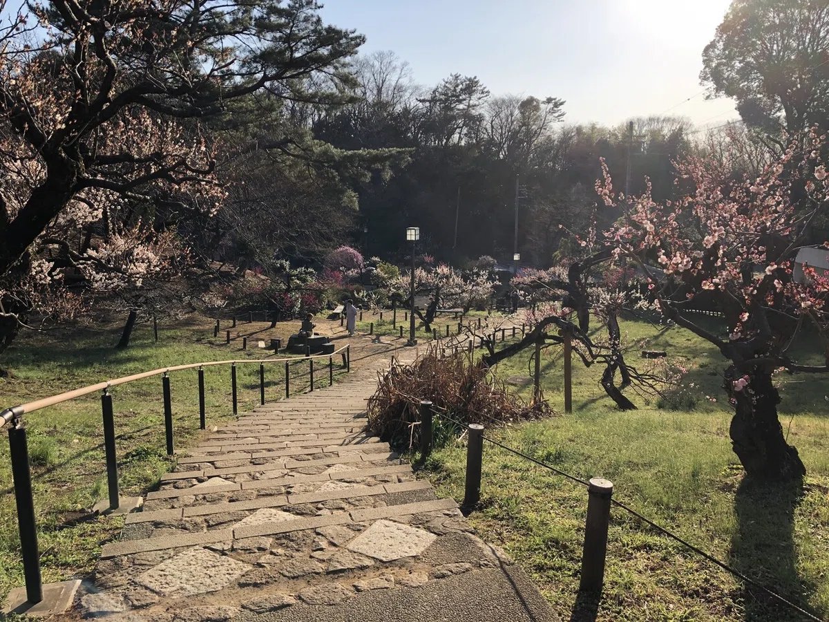 画像11