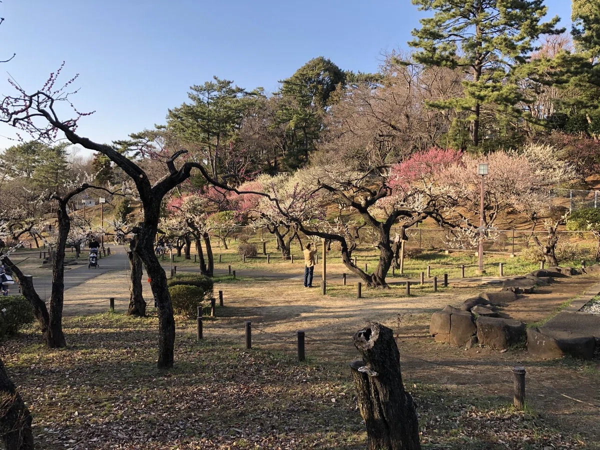 画像12