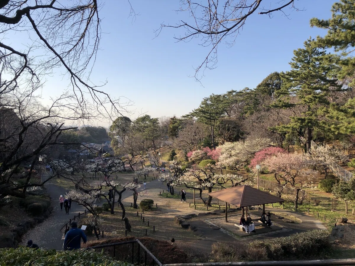 画像13