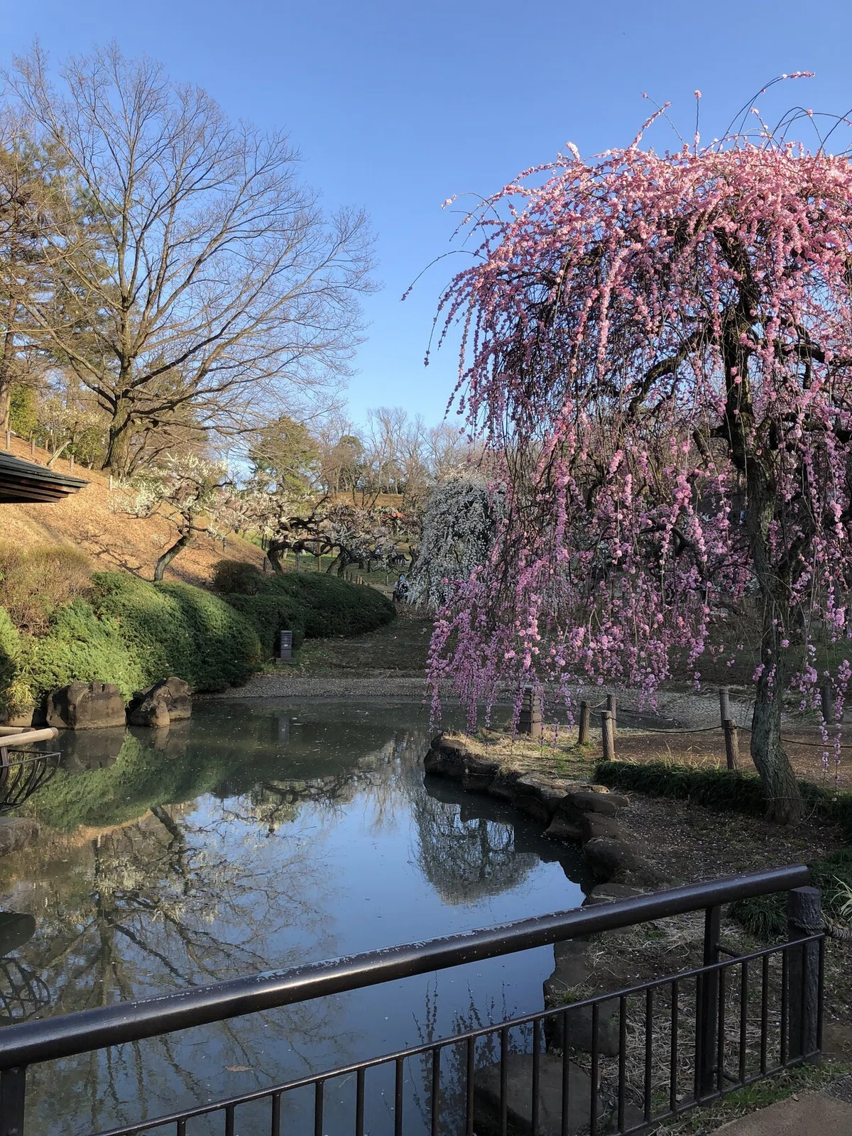 画像14