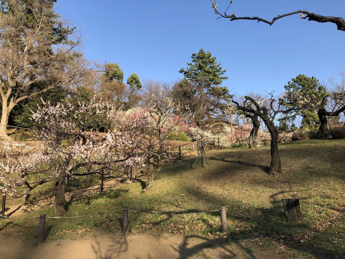 画像15