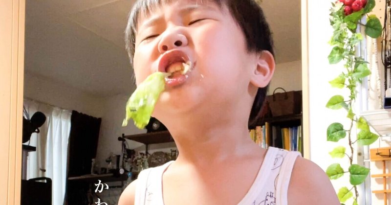 かわいいもの 障害者の きみがすきだ 21 5 25 大坪圭人 おおつぼきよひと Note
