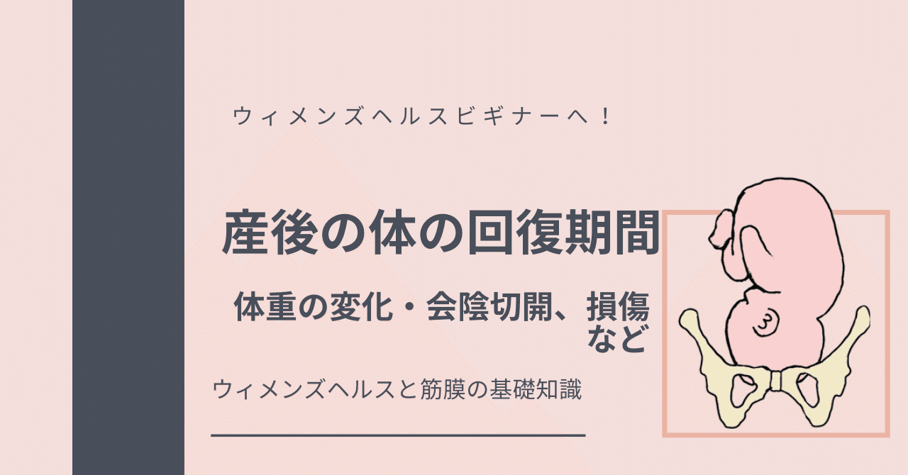 産後のカラダの回復期間 会陰切開 会陰裂傷など 筋膜とウィメンズヘルス Sachi Note