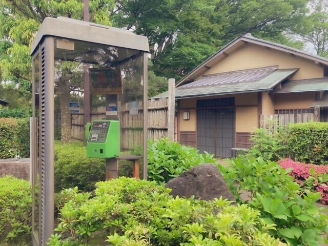 画像5
