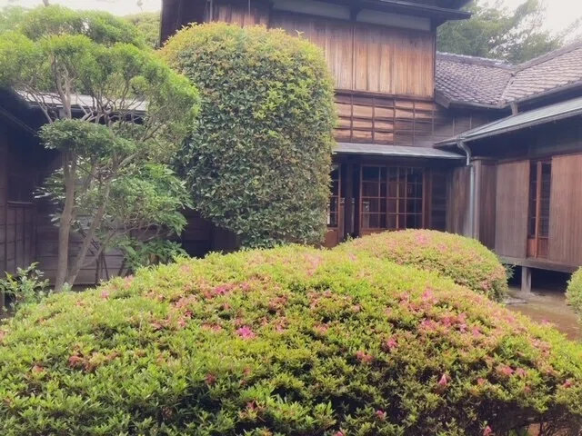 画像12