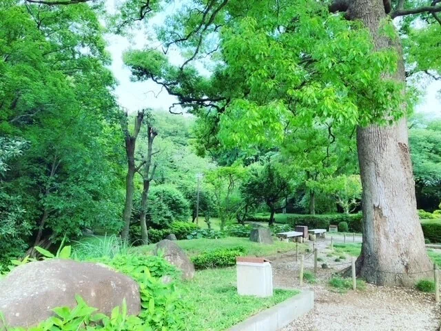 画像22