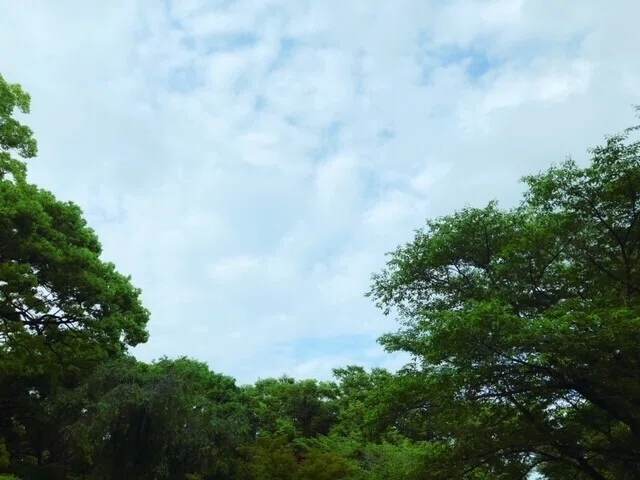 画像24