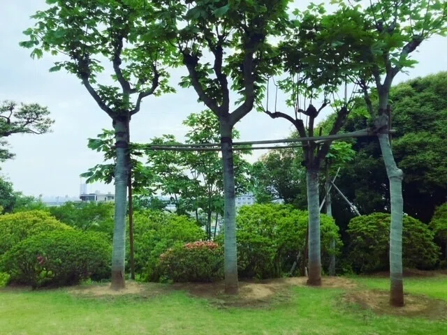画像25