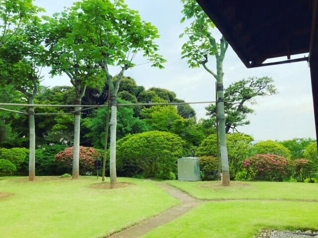 画像26