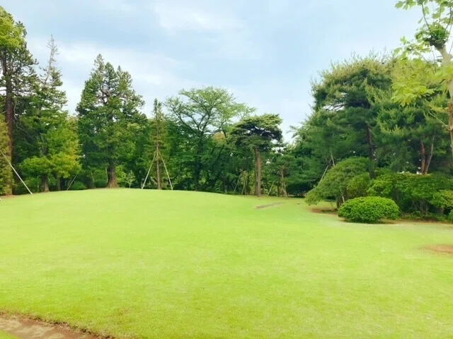画像27