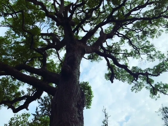 画像29