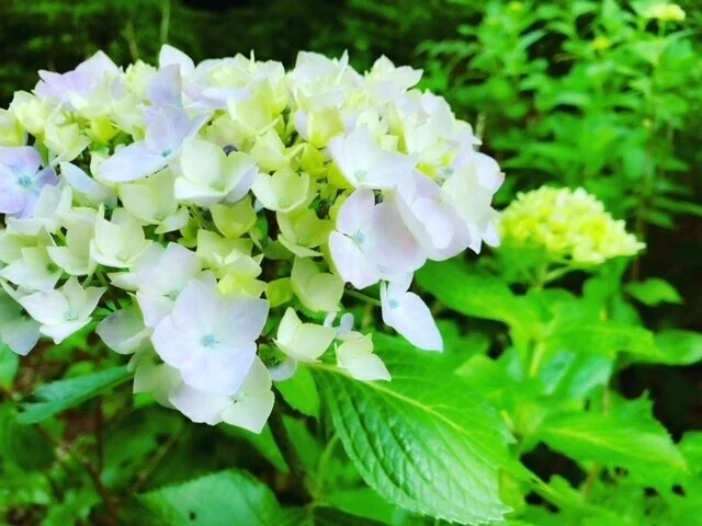 画像30