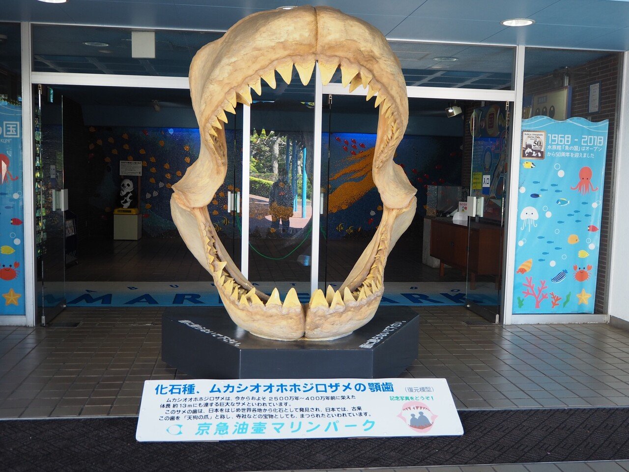 思い出1】京急油壺マリンパーク｜haru