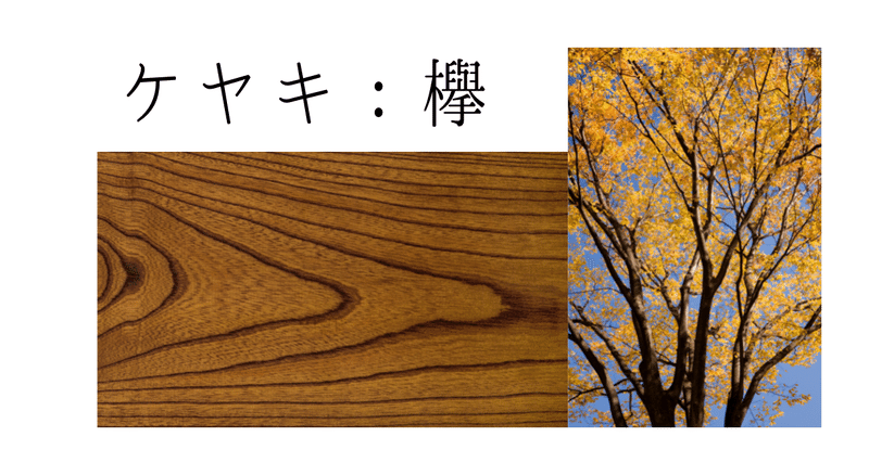 樹の種類 国産広葉樹 Woodmorning Note