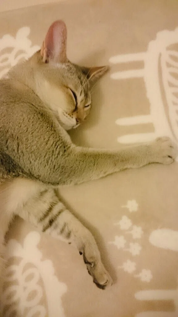 うつ病の 短歌を追加 作ったよ😊👋 ・ゆっくりの 自然治癒力 あなどる