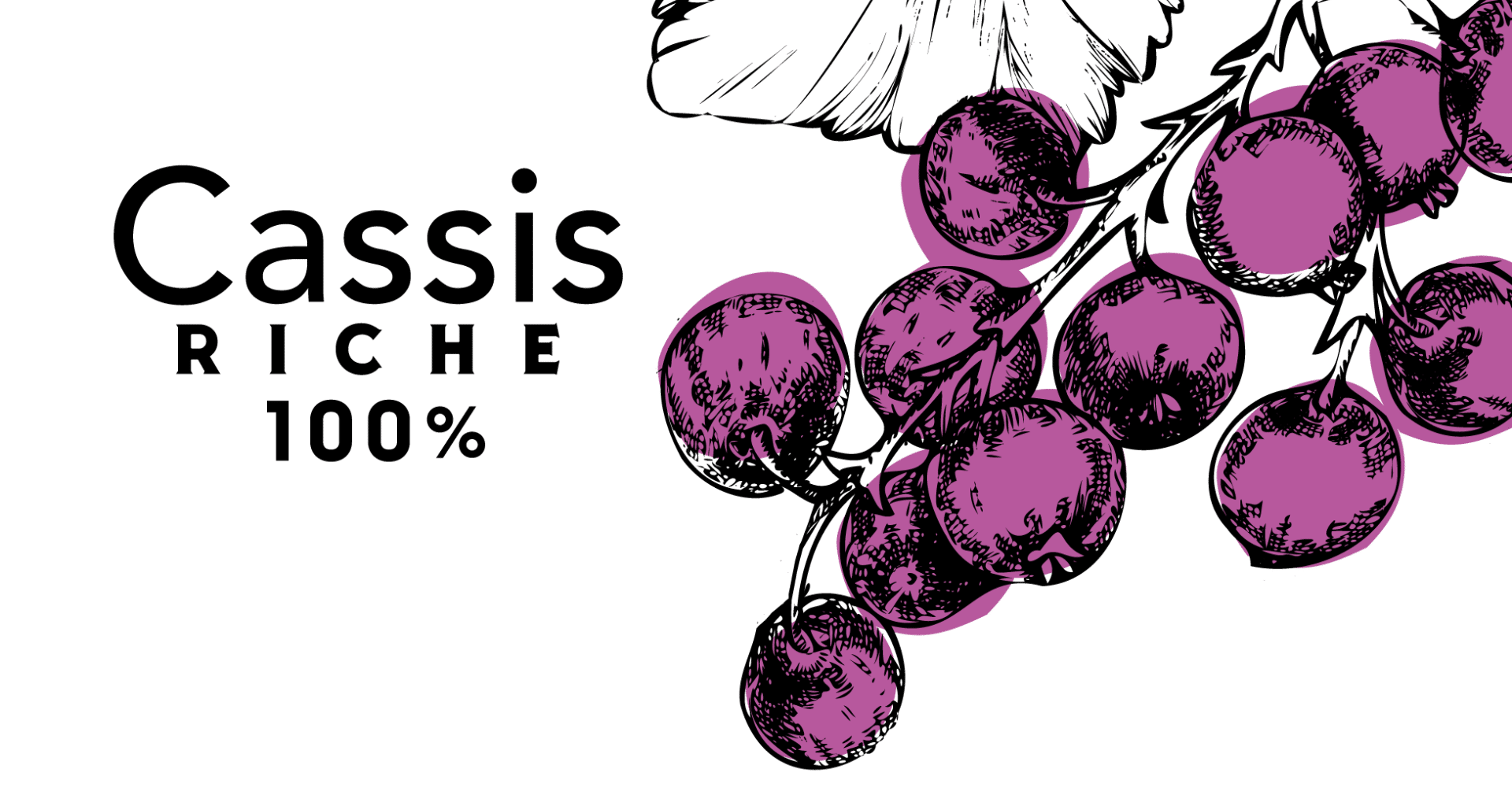 カシス リッシュ すぐできる楽しみかた Plantrip B版 Note カシス リッシュ すぐできる楽しみかた Plantrip B版 Note